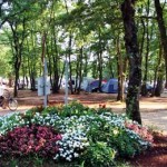 Finida_campsite_croatia