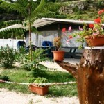 Kanegra_Istria_camping