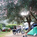 vrela_camping_dalmatia