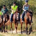 zaton_horses_croatia